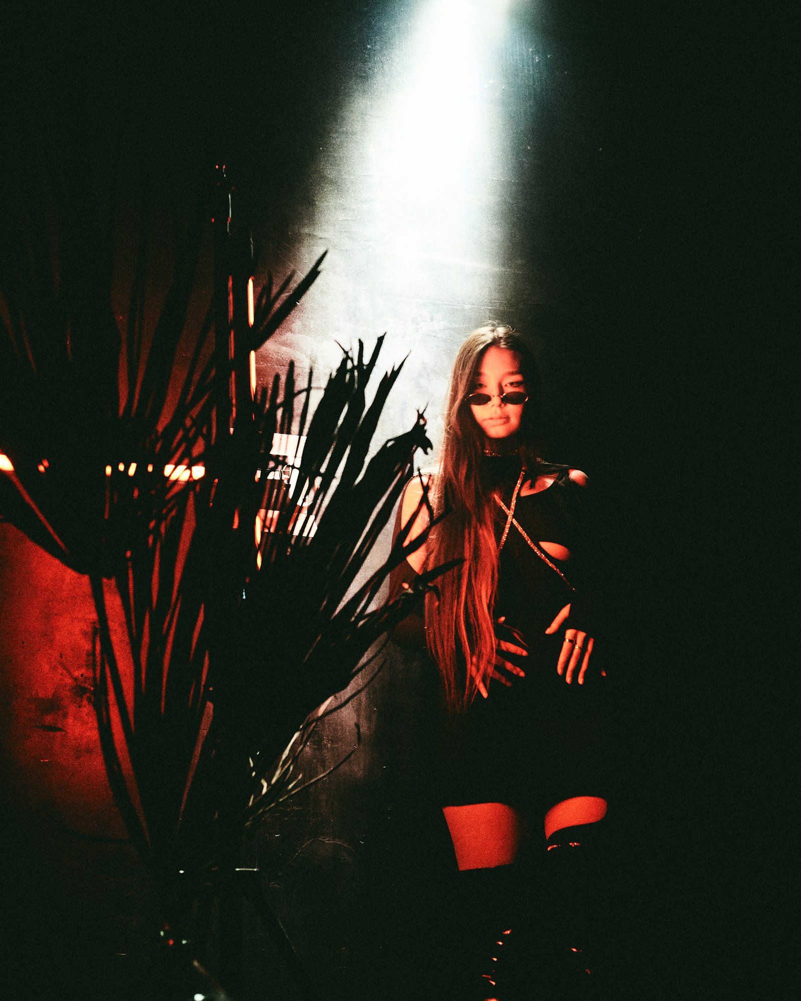 Portfolio Image